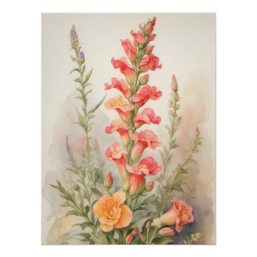 Poster Splendor Snapdragon (Devant)