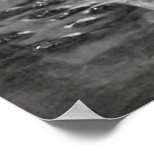 Poster "Splish Splash" (Coin)