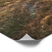 Poster Split Rail Fence at Gettysburg (Coin)