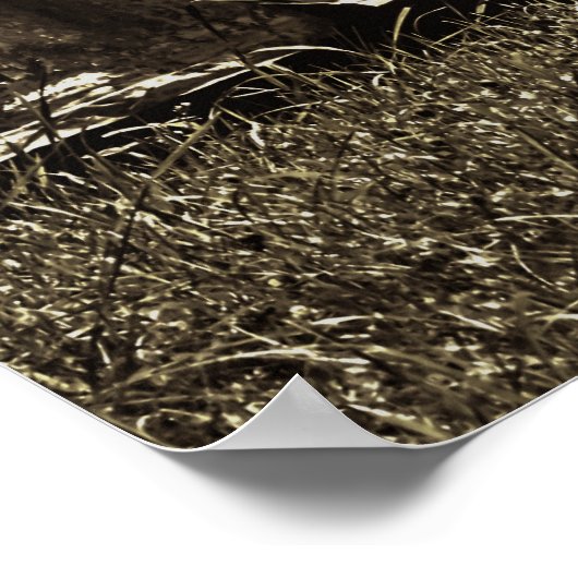 Poster Spooky Graveyard (Coin)