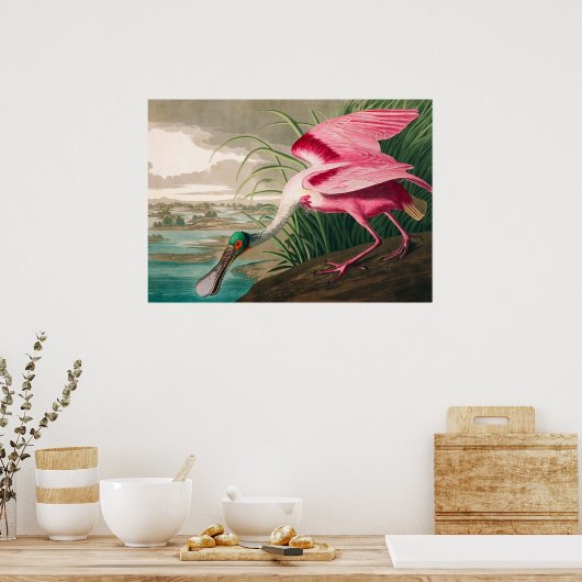 Poster Spoonbill sur le roseate par John James Audubon (Cuisine)