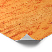 Poster sport and color (Coin)