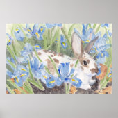 Poster Spotted Rabbit in Springtime Dutch Irises (Devant)