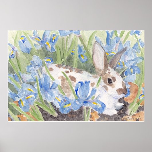 Poster Spotted Rabbit in Springtime Dutch Irises (Devant)