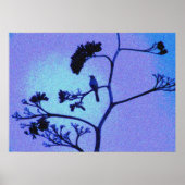 poster spotvogel (Voorkant)