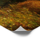 Poster Sprague Lake en automne (Coin)