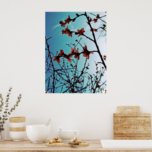 Poster Spring Blossoms (Cuisine)
