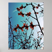 Poster Spring Blossoms (Devant)