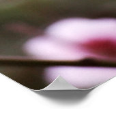 Poster Spring Blossoms (Coin)