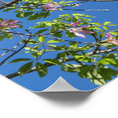 Poster Spring, branch of a blossoming tree (Coin)