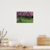 Poster Spring Cherry Blossoms (Cuisine)
