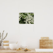 Poster Spring Dogwoods in Marshall Bloom (Cuisine)