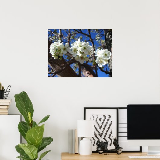 Poster Spring Flowering Pear Tree (Bureau à domicile)