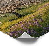 Poster Spring Greetings (Coin)