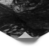 Poster Spring House, Irving College Tennessee (Coin)