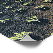 Poster Spring in the Country (Coin)