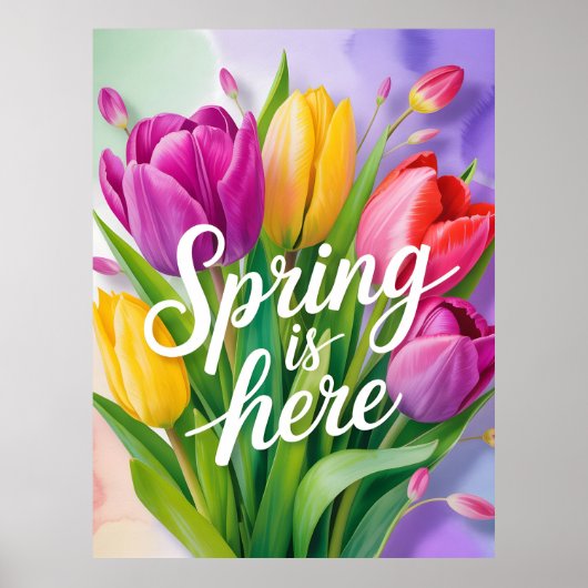 Poster "Spring is Here" Tulip Bouquet Illustration (Devant)