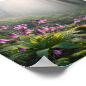 Poster Spring Katakuri in Misty – Atr Print (Coin)