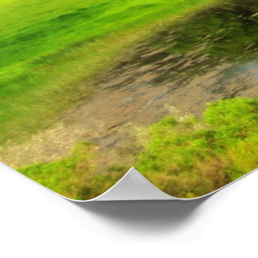 Poster Spring Meadow (Coin)