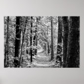 Poster Spring Rainforest Trail en noir et blanc (Devant)