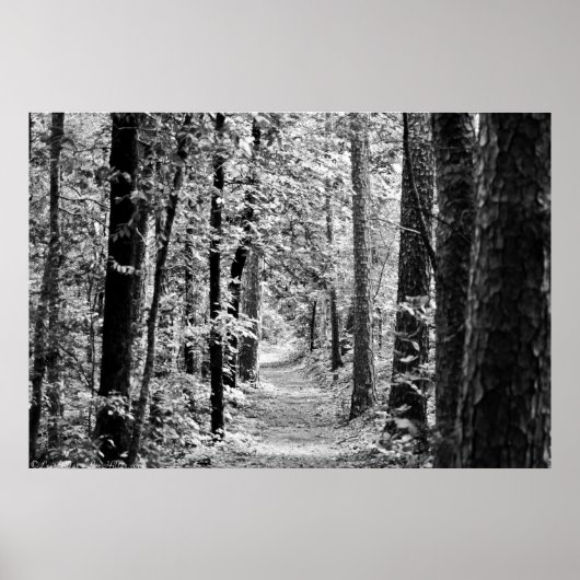 Poster Spring Rainforest Trail en noir et blanc (Devant)