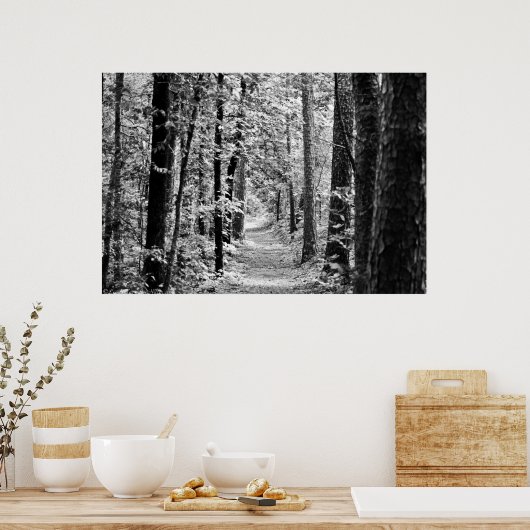 Poster Spring Rainforest Trail en noir et blanc (Cuisine)