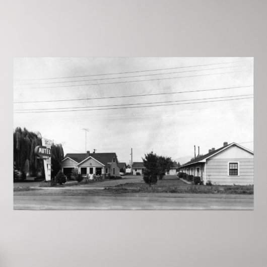 Poster Springfield, OU Motel Sutton sur la route McKenzie (Devant)