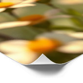 Poster Springs Fairy Art (Coin)