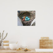 Poster springs_new_born_first (Cuisine)