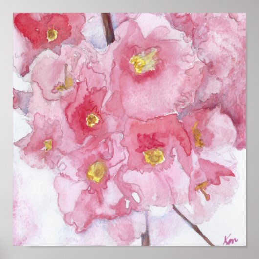 Poster Springtime rose cerisier fleurs aquarelle (Devant)