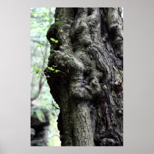 Poster sprite en bois