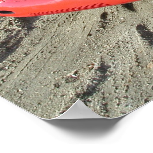 Poster Spyder 1955 550 (Coin)