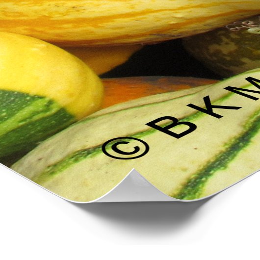 Poster - squash d'été (Coin)