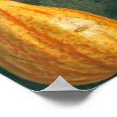 Poster Squash d'hiver (Coin)