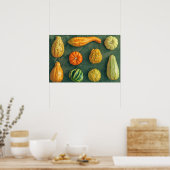 Poster Squash d'hiver (Cuisine)