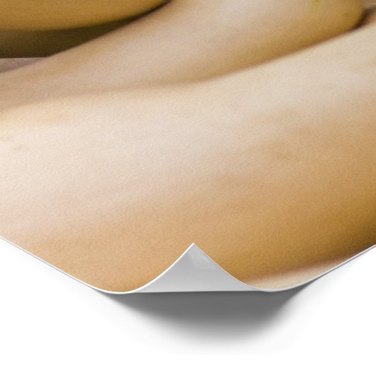 Poster Squash et patates douces (Coin)