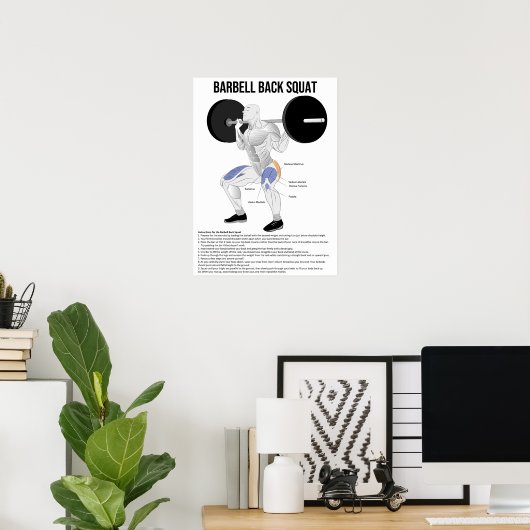 Poster Squat - Exercice - Muscle Anatomy Chart (Bureau à domicile)