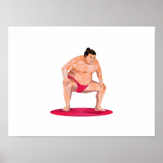 Poster Squat japonais Sumler Squat bas polygone (Devant)