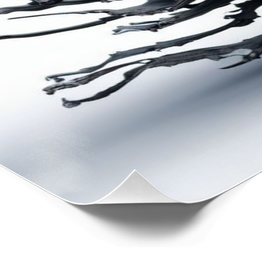 Poster Squelette (Coin)