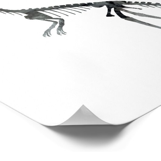 Poster squelette compsognathus (Coin)