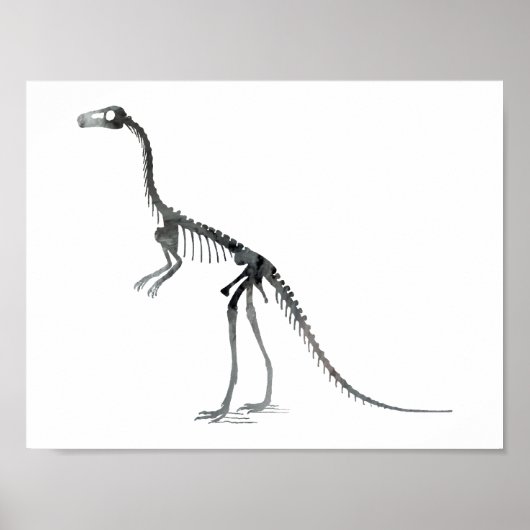 Poster squelette compsognathus (Devant)