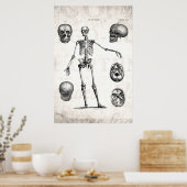 Poster Squelette d'antiquité squelette des années 1800 vi (Cuisine)