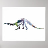 Poster squelette de brontosaurus (Devant)