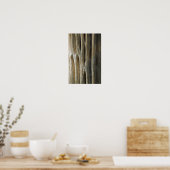 Poster Squelette de cactus (Cuisine)