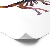 Poster squelette de camarasaurus (Coin)