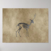 Poster squelette de cerf (Devant)