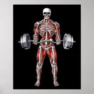 Poster Squelette de fitness entraînement