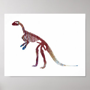 Poster squelette de hypsilophodon