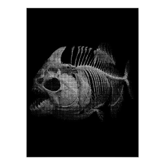 Poster Squelette de Poisson Piranha Cadeau de Pêche (Devant)