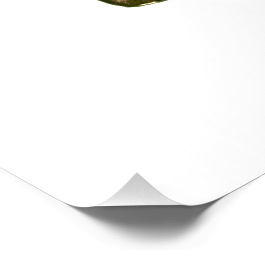 Poster Squelette de tigre de l'Est (Coin)